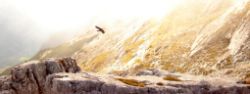 2013-10-08_Guffert (179)b.JPG
